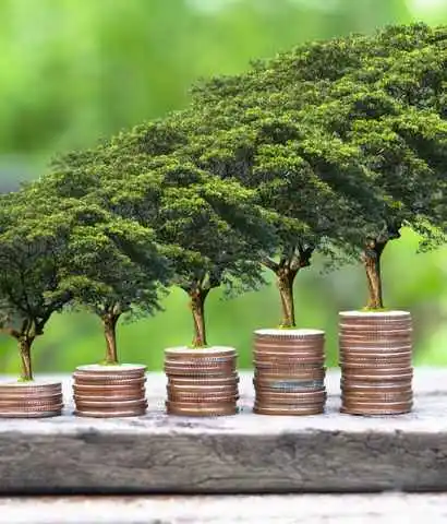 Economic Resilience