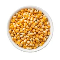 maize img