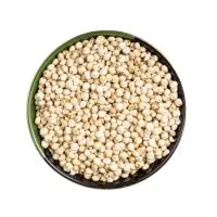 grain-sorghum img