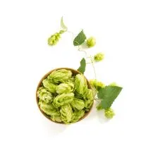 hop-cones img