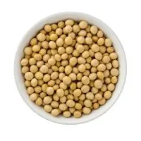 soybeans img