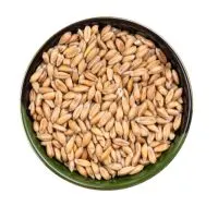 wheat